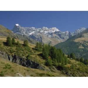  Trees and Mountains in the Vanoise, Savoie in the Rhone 