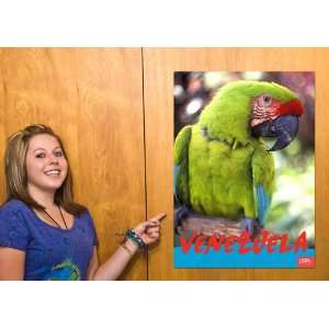  Green Parrot Venezuela Travel Poster