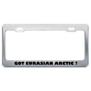 Got Eurasian Arctic ? Animals Pets Metal License Plate Frame Holder 