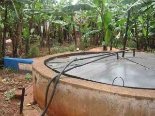 Biogas Ethanol BioDiesel cd Methane Anaerobic Digester  