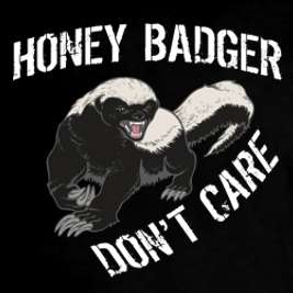 Honey Badger Dont Care Funny Humor Animal Tee T Shirt  
