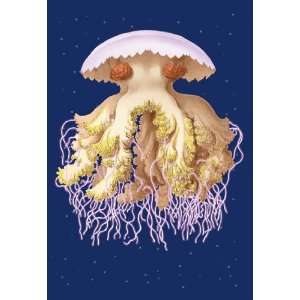  Astro Jellyfish 16X24 Canvas