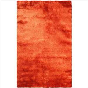  Appleton Rug Co. WL 405 Tour WL 405 Orange Shag Rug Size 