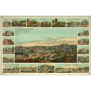 Ellicotts Mills, Maryland   Birds Eye View   1854 Lithograph   16 x 