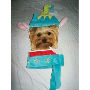    New Elf Hat & Collar for Small Dogs / Pets Size XS/S