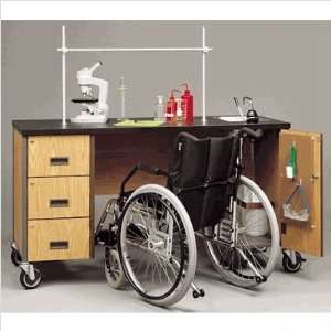  Wheelchair Accessible Deluxe Mobile Science Lab Station 