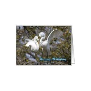  Birthday, generic, Egrets Nest Building Card Health 