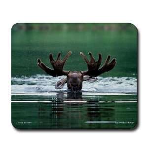  Moose Swimming in Pond Funny Mousepad by  Office 