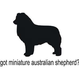  Got miniature australian shepherd   Removeavle Vinyl Wall 