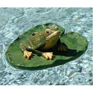    Green Frog on Lily Pad FLoats in pool or pond
