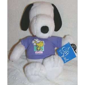  Peanuts 14 Plush Snoopy Get Well Doll Toys & Games