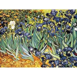  Vincent Van Gogh 47.2W by 35.4H  Iris Super Resin 