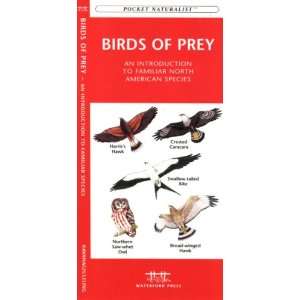  Waterford Birds of Prey Patio, Lawn & Garden