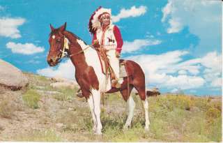 PINTO HORSE POSTCARD INDIAN CHIEF COLORFUL  standard size postcard 