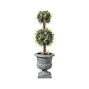  36 Ficus Double Ball Topiary   Improvements Patio, Lawn 