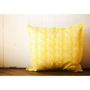  Waterburst 24 inch Throw Pillow Cover