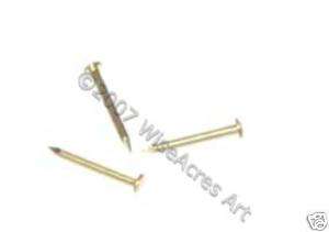 100 3/8 inch Brass #20 Escutcheon Pins  
