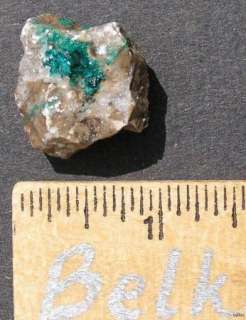 DIOPTASE (TL)   ALTYN TYUBE, KAZAKHSTAN 13657  