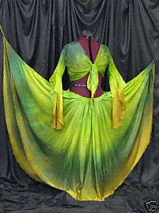 FAIRY COVE Silk belly dance veil costume set skirt top  