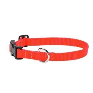   625 Inch Adjustable Nylon Puppy Collar   Blaze Orange