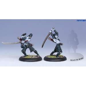    Legion of Everblight Blighted Swordsmen Hordes Toys & Games