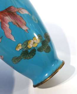 Antique Japanese Meiji Period Cloisonne Vase   Fighting Fish.  