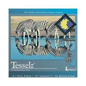  Tesselz Crescent Series Puzzle Toys & Games