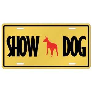   American Hairless Terrier / Show Dog  License Plate Dog Home