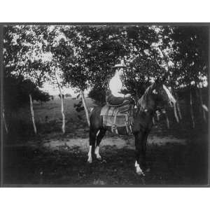 Texas Rider,Woman seated side saddle on horse,c1905