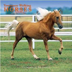  Tennessee Walking Horses 2008 Wall Calendar Office 
