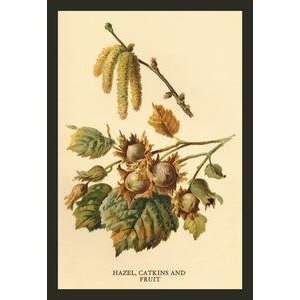  Vintage Art Hazel, Catkins and Fruit   17612 1