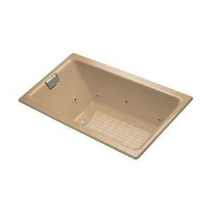  KOHLER Mexican Sand Cast Iron Drop In Jetted Whirlpool Tub 