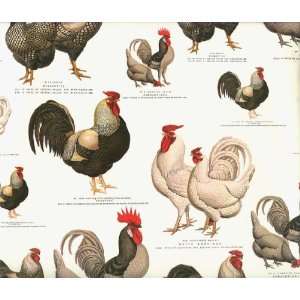  Chickens and Roosters Decorative Gift Wrap Paper Office 