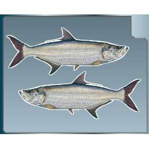  TARPON Fish vinyl decals Set of 2 Stickers Sport Fishing 