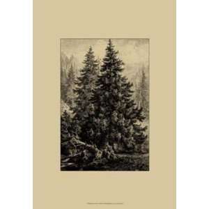  Ernst Heyn   Spruce Pine Canvas