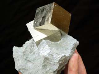 Perfect 6 Pyrite Crystals on Matrix, Spain  