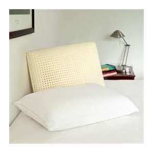   Memory Foam Pillow Covered in a Soft Bamboo Cover