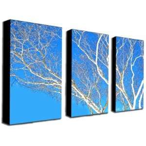  Spring Tree by Kathie McCurdy Canvas Art (Set of 3)