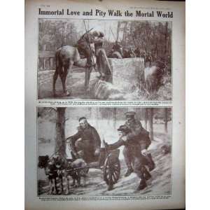   WW1 1916 Somme Stream Soldiers Belgian Horses Dog Cart