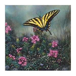  Stephen Lyman Swallowtail Butterfly And Pink Mountain 