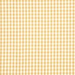 Bay Check 230 by Baker Lifestyle Fabric