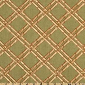  54 Wide Bryant Indoor/Outdoor Cabana Sage Fabric By The 