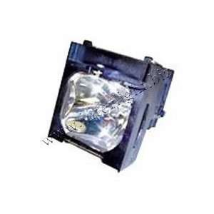  L CPX5LAMP LAMP & CAGE DT0821