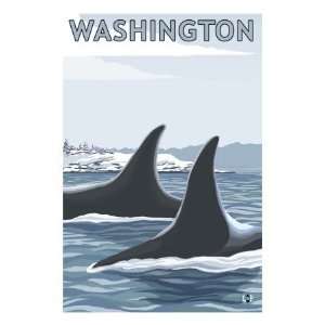  Orca Fins & Snow   Washington Premium Poster Print, 24x32 