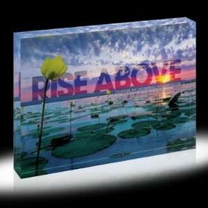  Successories Rise Above Lily Pads Infinity Edge Acrylic 