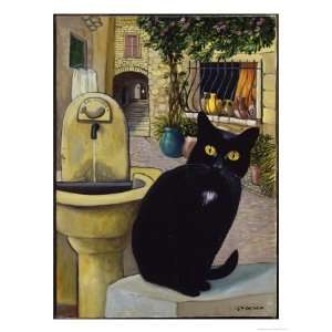  European Cat at St. Paul de Vence, France Giclee Poster 