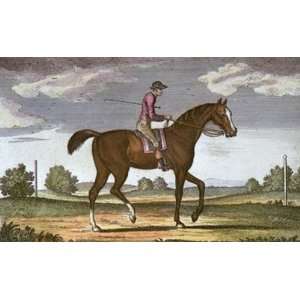 Carless Etching Sartorious, Francis June, Horse Racing Steeple Chasing 