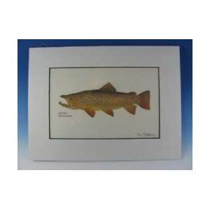  Brown Trout Matted Print   Ron Pittard