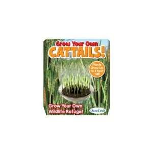  New   Grow Your Own Cattails Case Pack 24   715085 Toys 