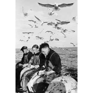  Norwegian fishermen Stalked by Seagulls 8x12 Silver Halide 